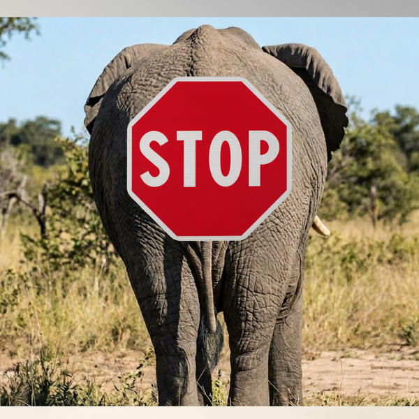 Why Big Words are Blocking Your Path